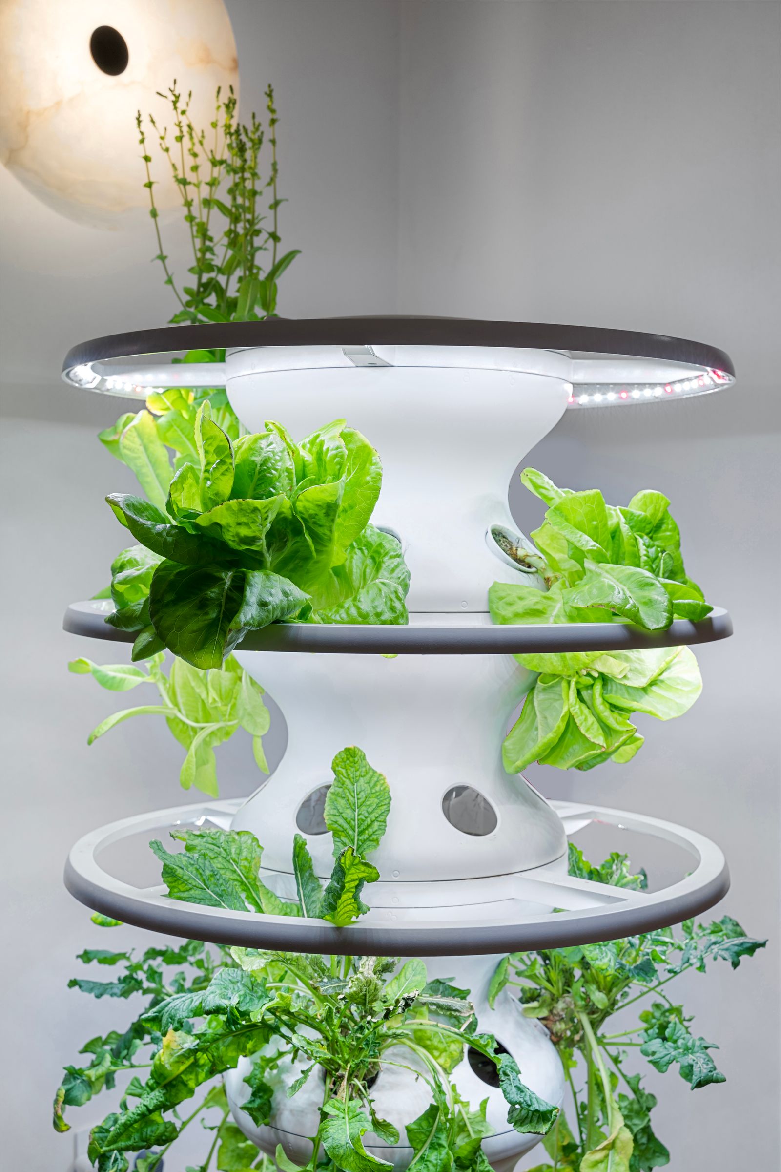 丨美国迈阿密-25