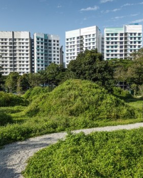 新加坡比达达利公园丨Henning Larsen