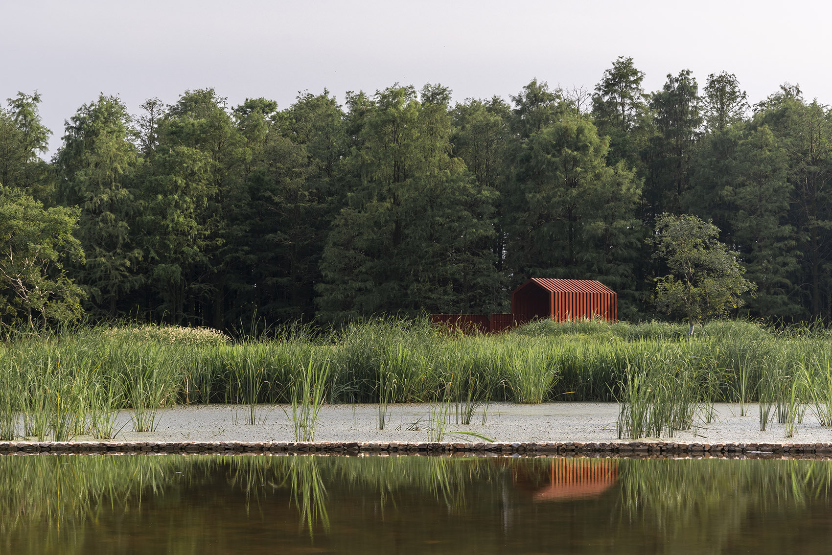 安徽庐江大汉塘研学基地丨中国安徽丨青集设联合事务所-6