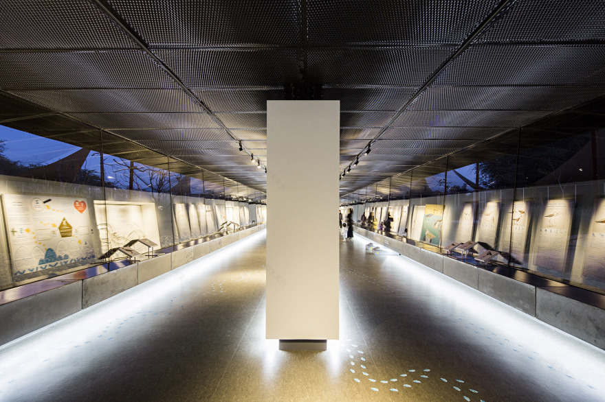 瓦西特自然保护区游客中心,阿联酋 / X Architects-22