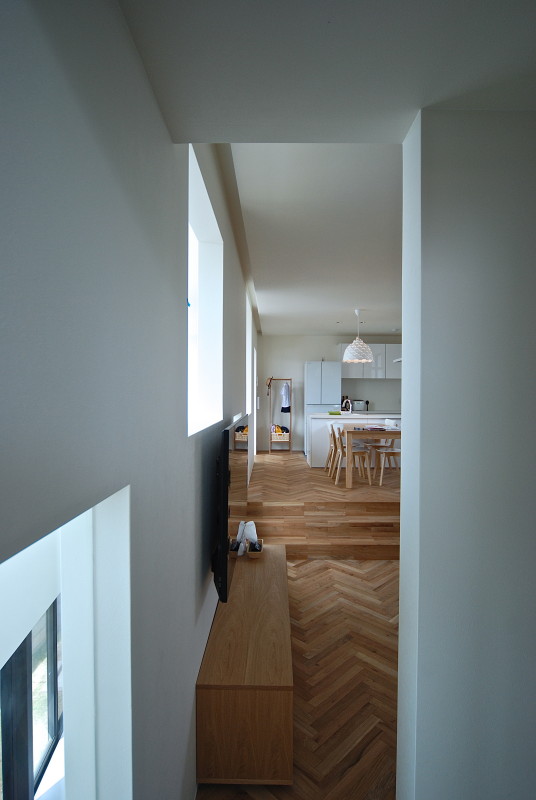 SHINGOU #121 - COGITE-24