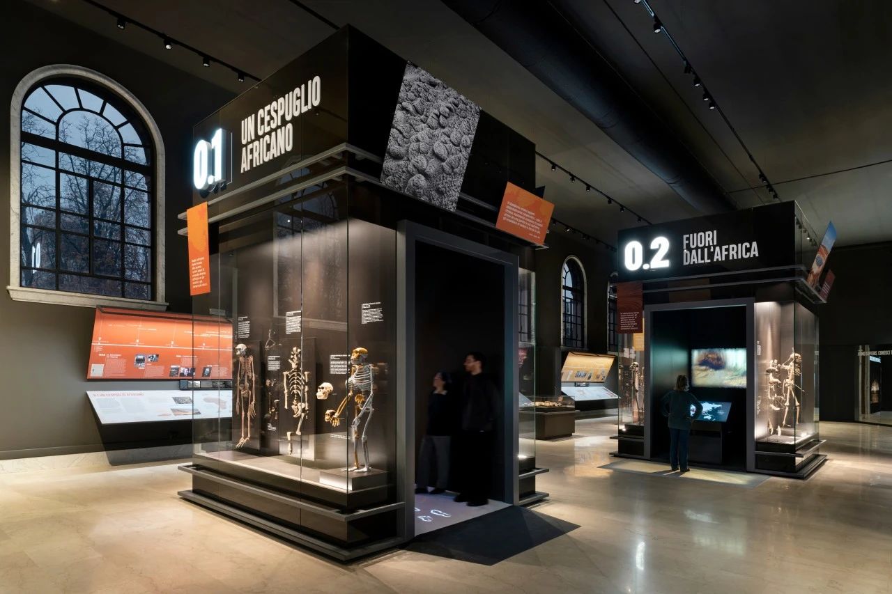 米兰自然故事博物馆(第九展厅)丨意大利米兰丨意大利 Migliore Servetto 设计工作室-13