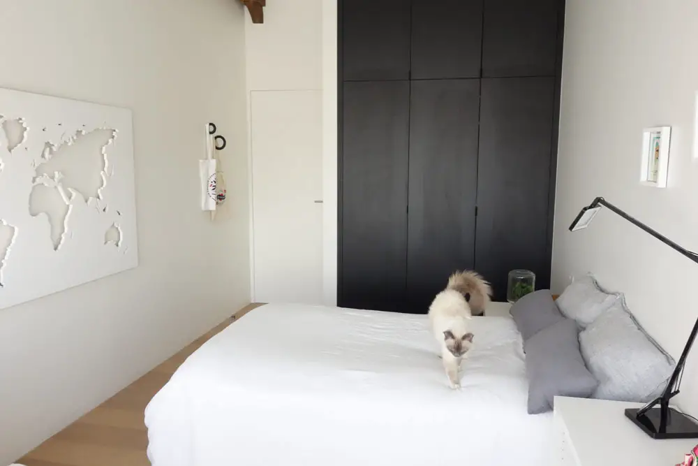 比利时 230㎡时尚波西米亚风屋顶阁楼设计-15