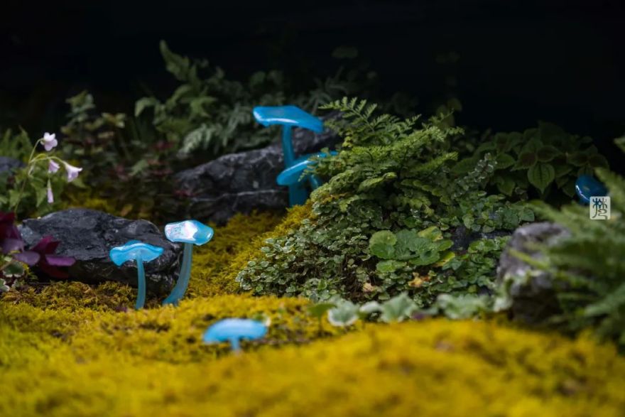 麓湖 B2 黑鉐样板岛丨中国成都丨乐道景观-95