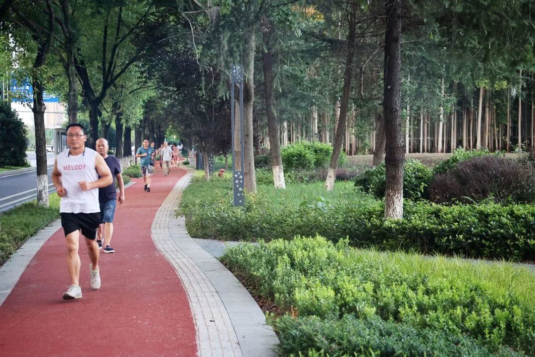 yǒu作品 |  蜀龙大道——公园城市街道一体化践行-57