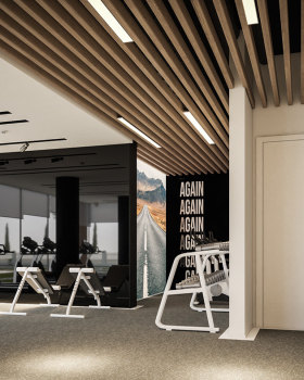 Modern Gym