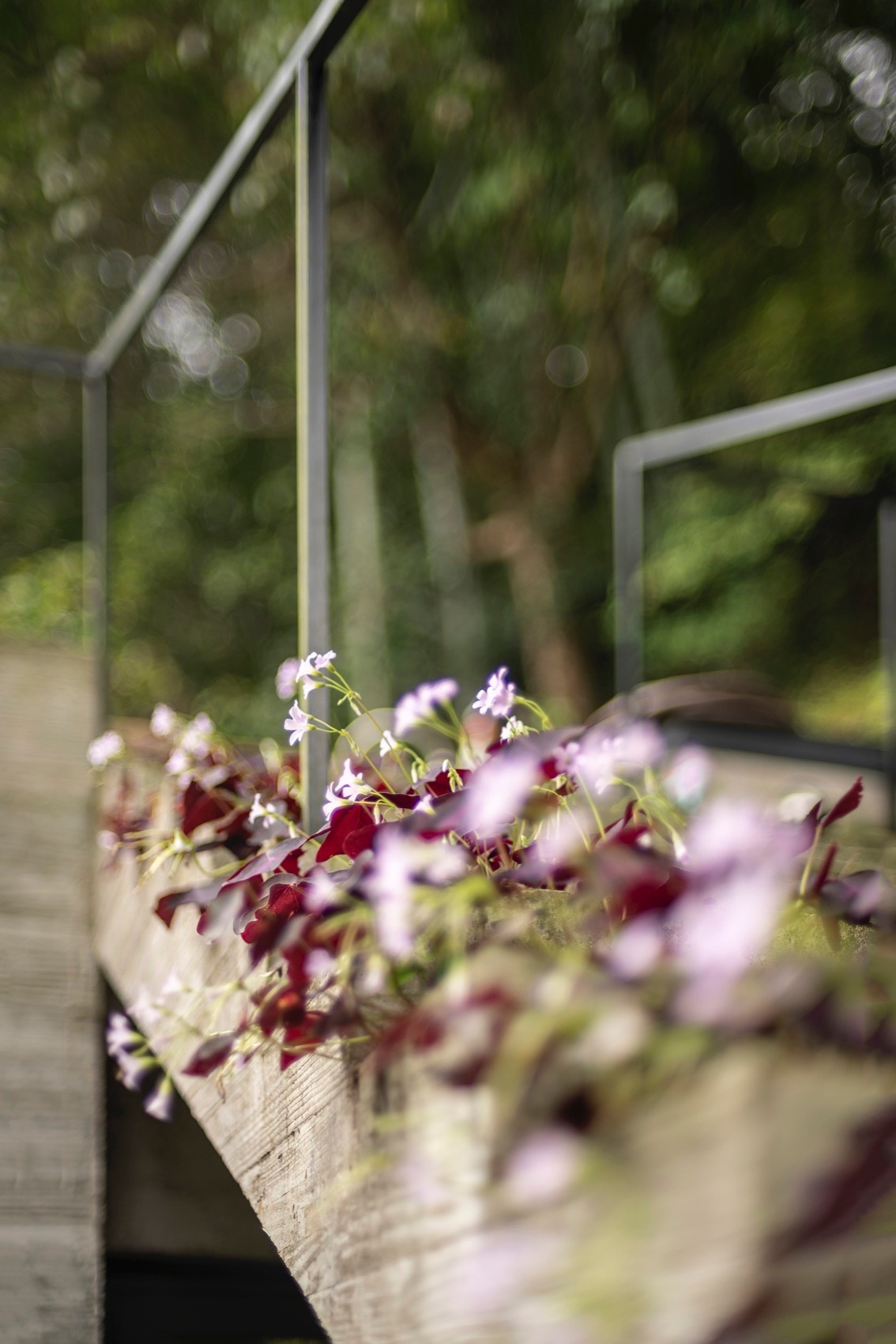 散轩书屋丨中国宁波丨上海善祥建筑设计有限公司-70