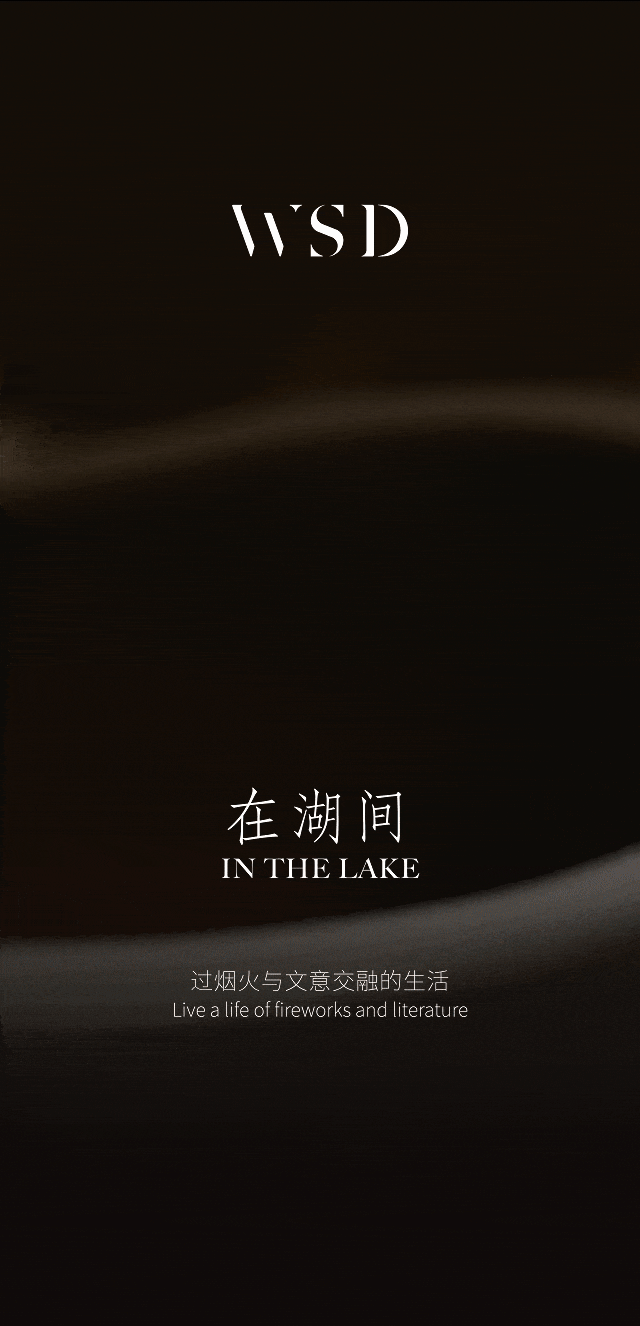 成都麓湖·黑鉐岛别墅丨中国成都丨line+建筑事务所,盘石设计,孟也,WSD 世尊-44