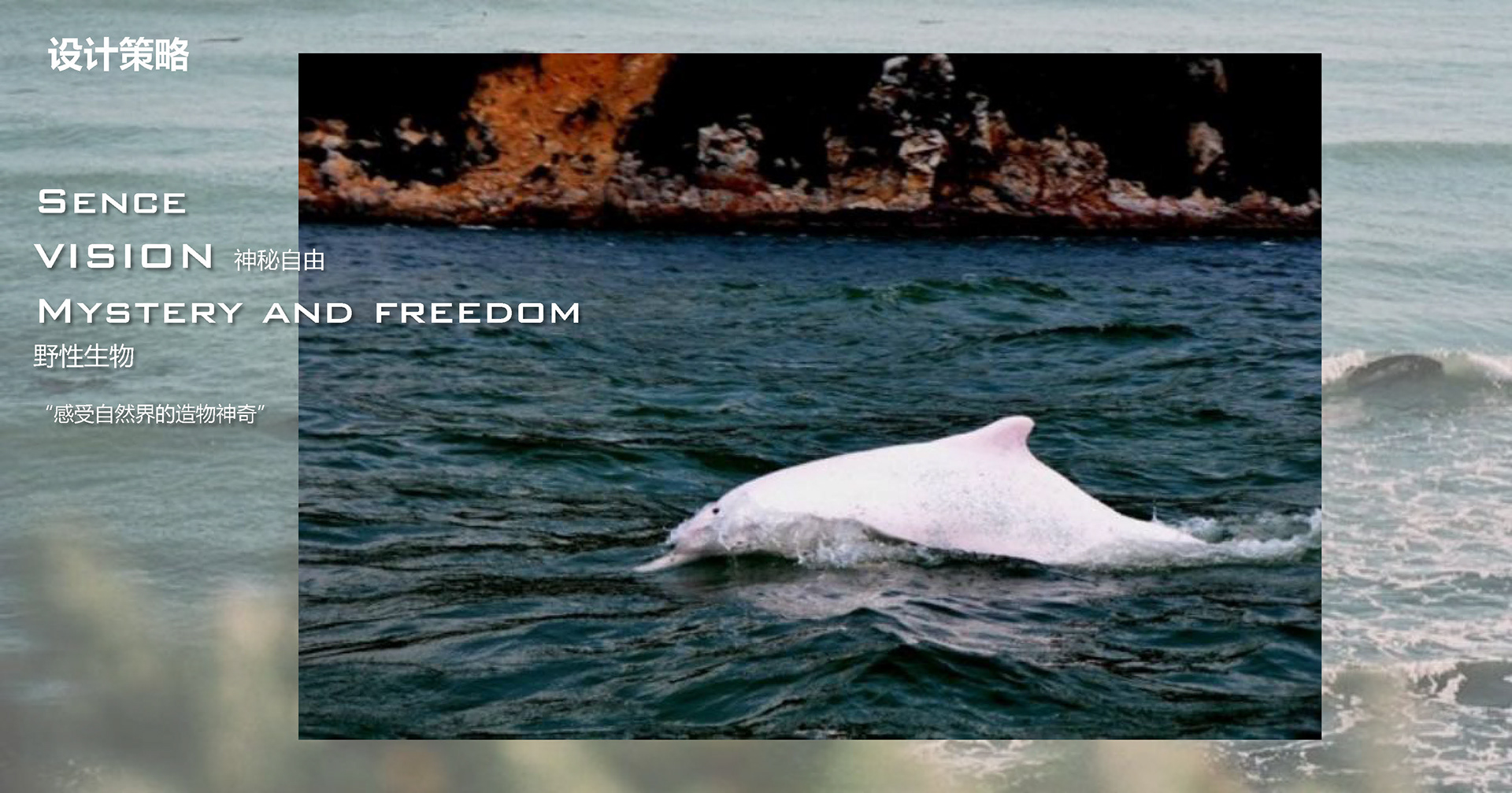 东海岛龙海天景区温泉度假酒店丨中国湛江-7