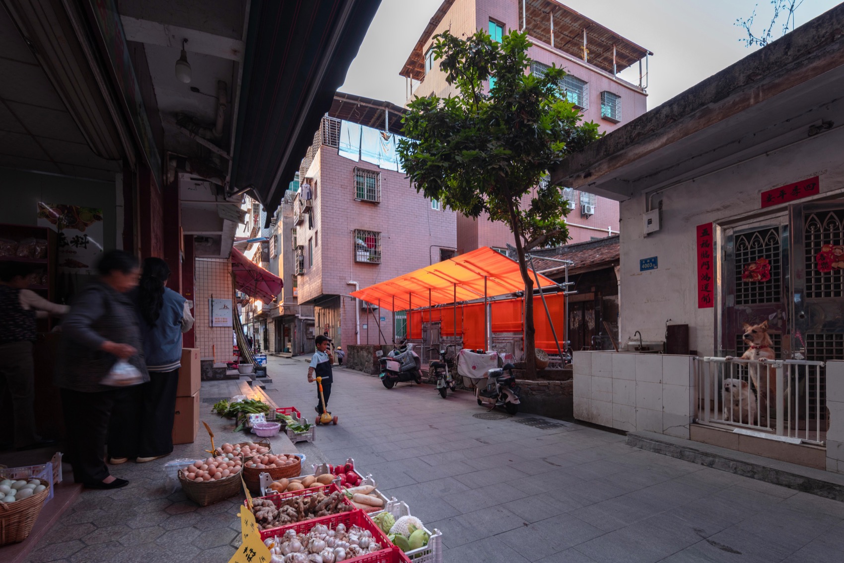 林氏古厝修缮围挡装置丨中国厦门丨TAG-18