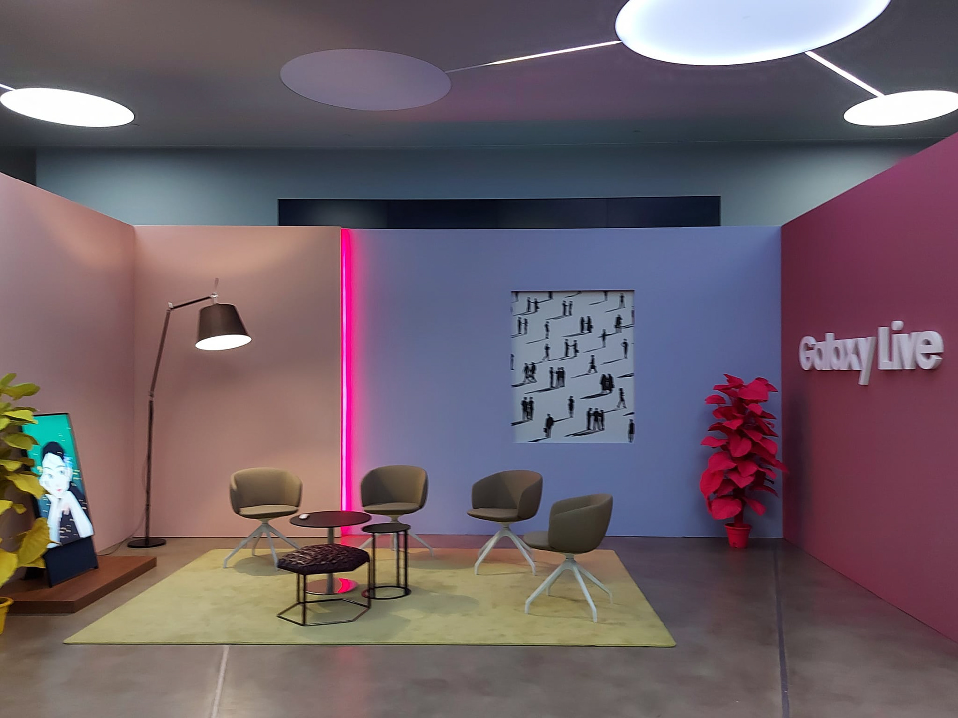 加拉·伊直播购物丨AlgeriaMila丨@Samsung District-15