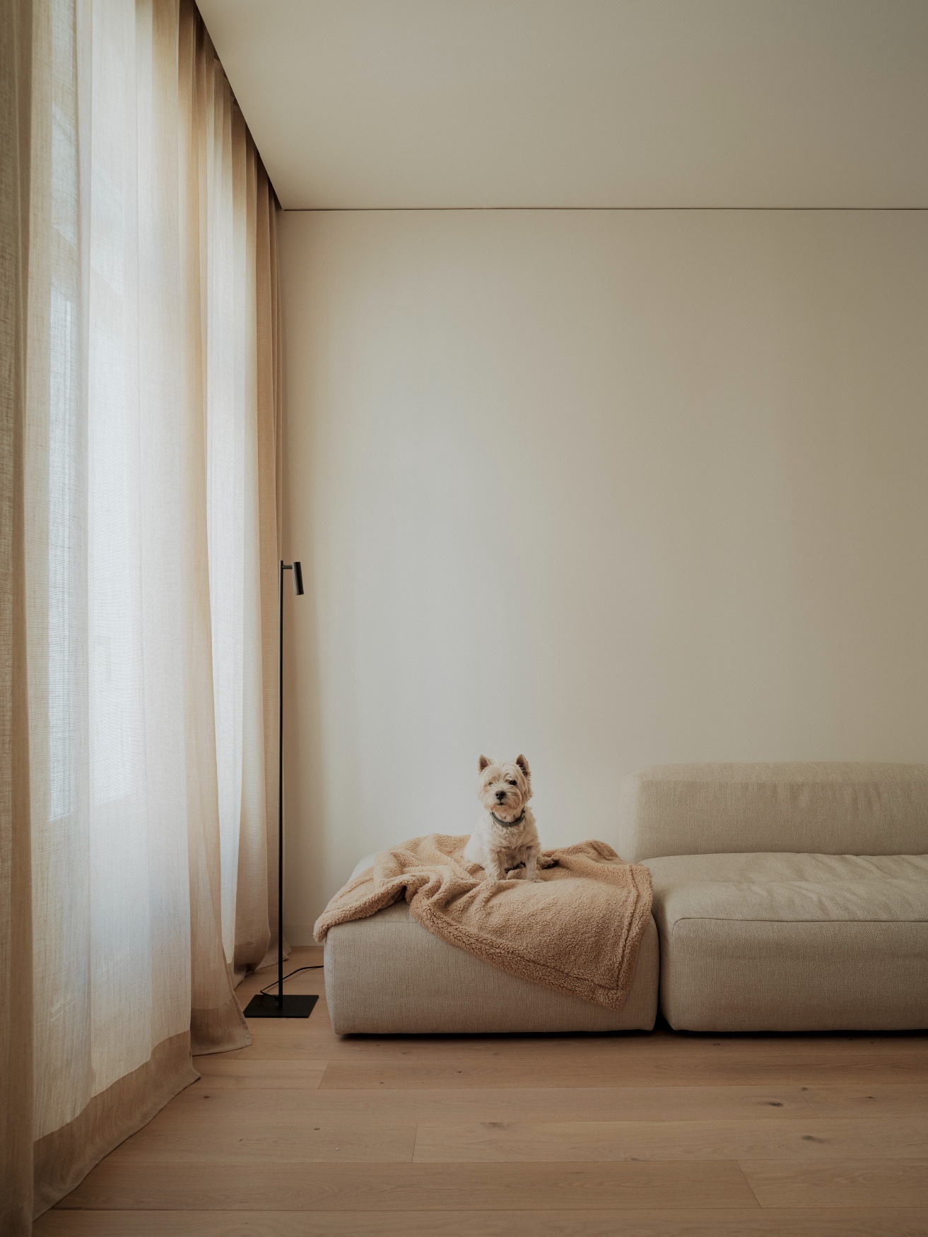 市中心的极简主义住宅丨西班牙巴伦西亚丨NOS Arquitectura-3