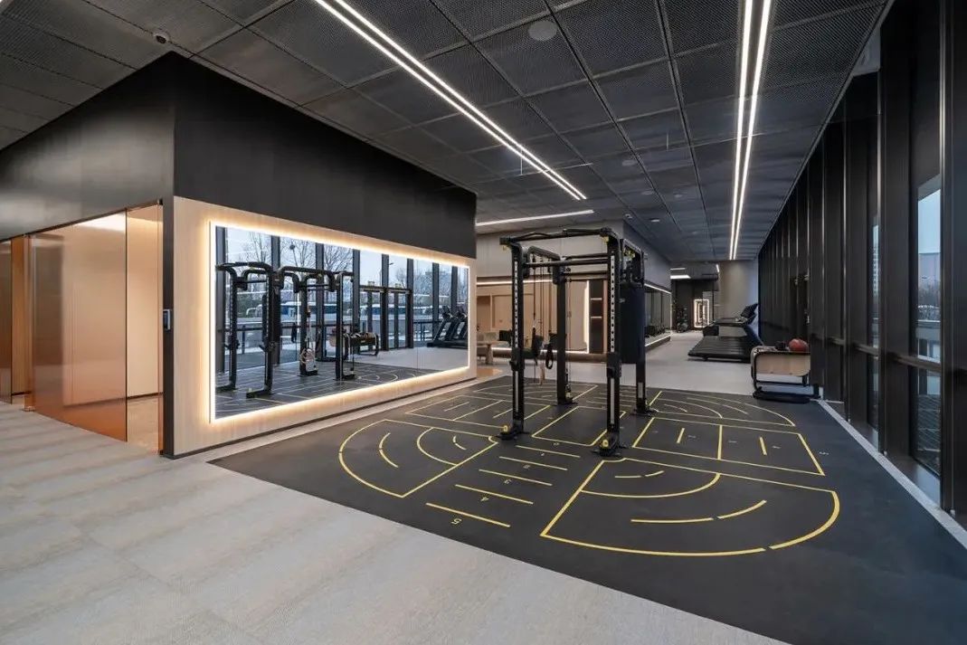 TRACTION 森林公园中的健身房丨生兵,屈飞婧-1