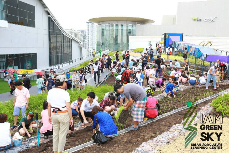 暹罗绿色天空-15