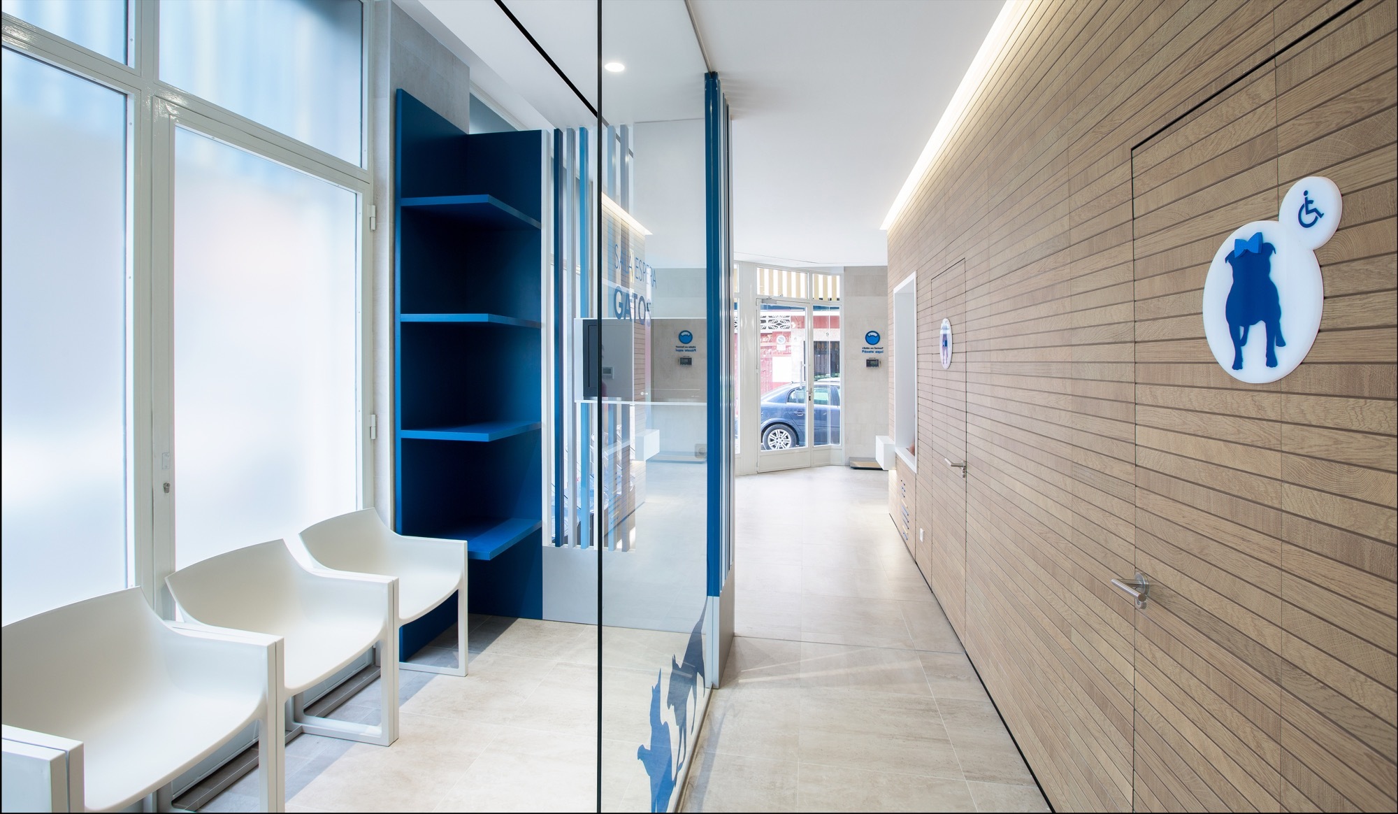 Constitución Veterinary 兽医诊所-38