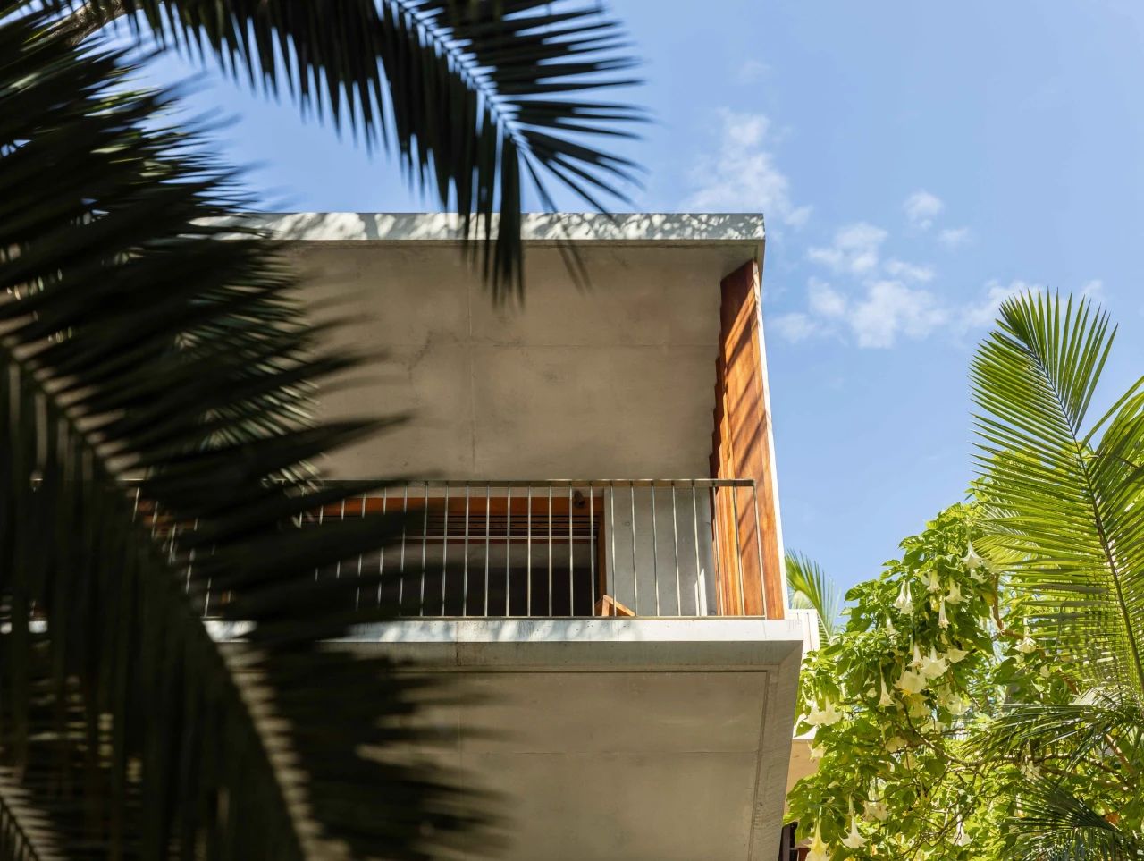 Northern Lights 海滨景致丨澳大利亚悉尼丨Cadence  Co-45