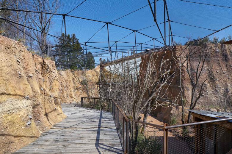 L3P Architekten ETH FH SIA AG丨Giraffenhaus Lewa Savanne im Zoo Zürich丨瑞士-14