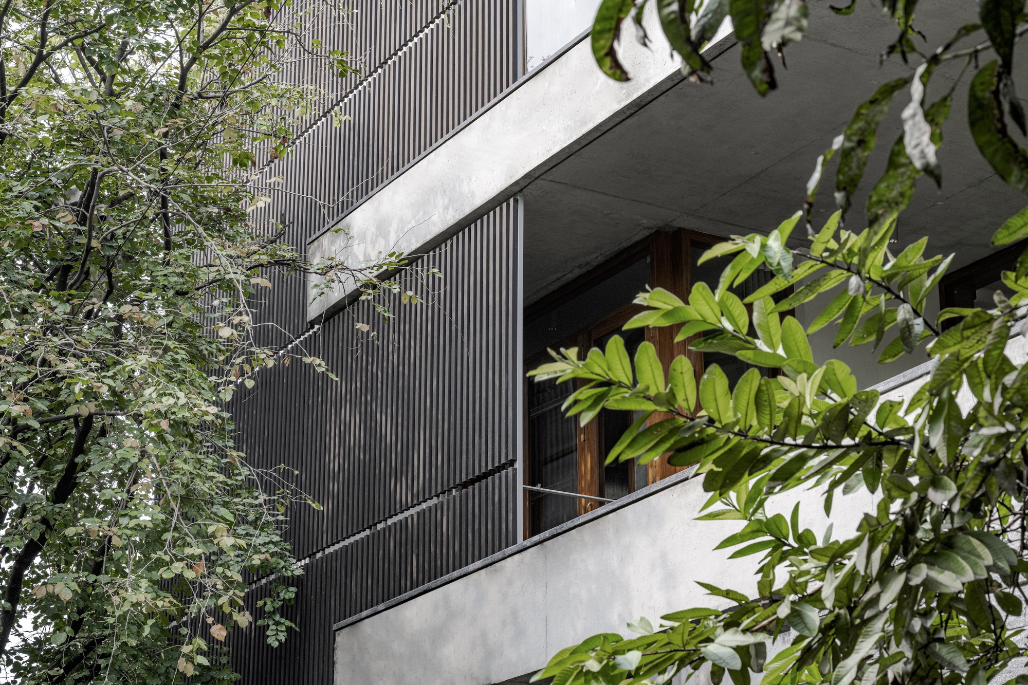 公园旁的房屋丨印度班加罗尔丨STUDIO MOTLEY-30