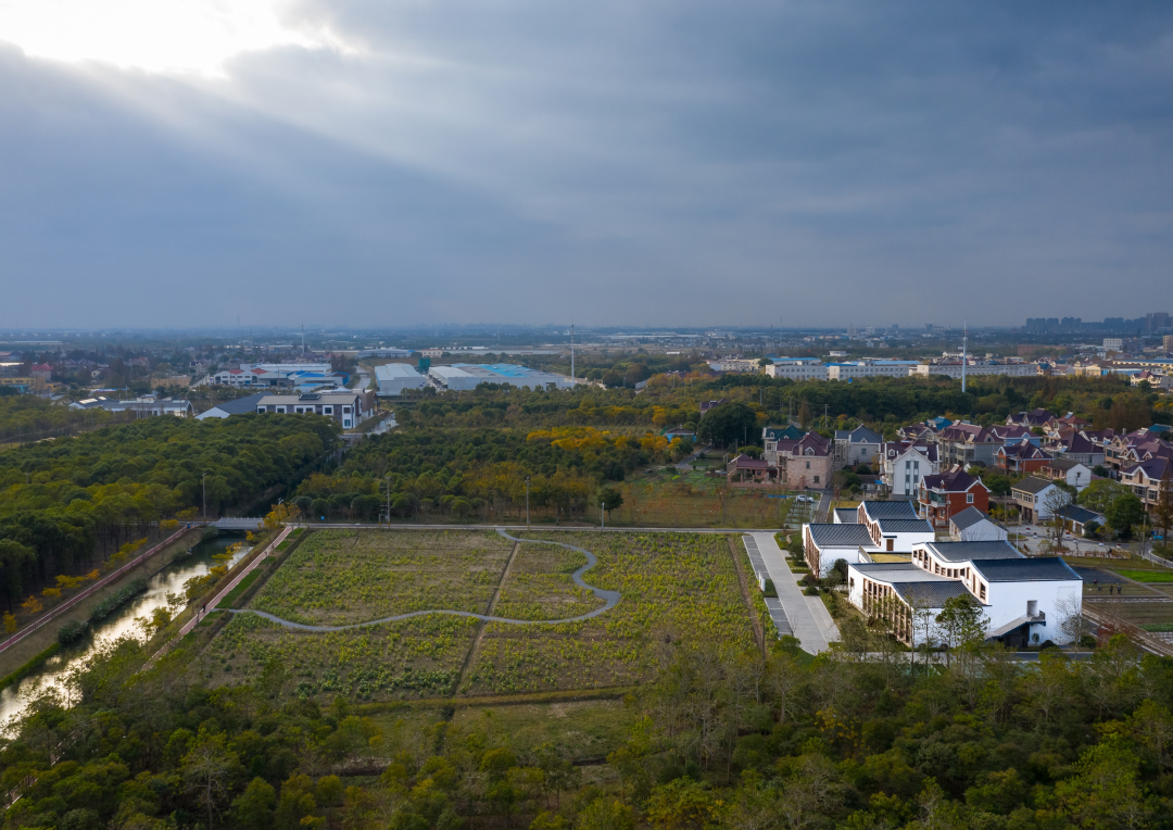 塘湾双创中心丨中国上海丨同济大学建筑设计研究院（集团）有限公司-44