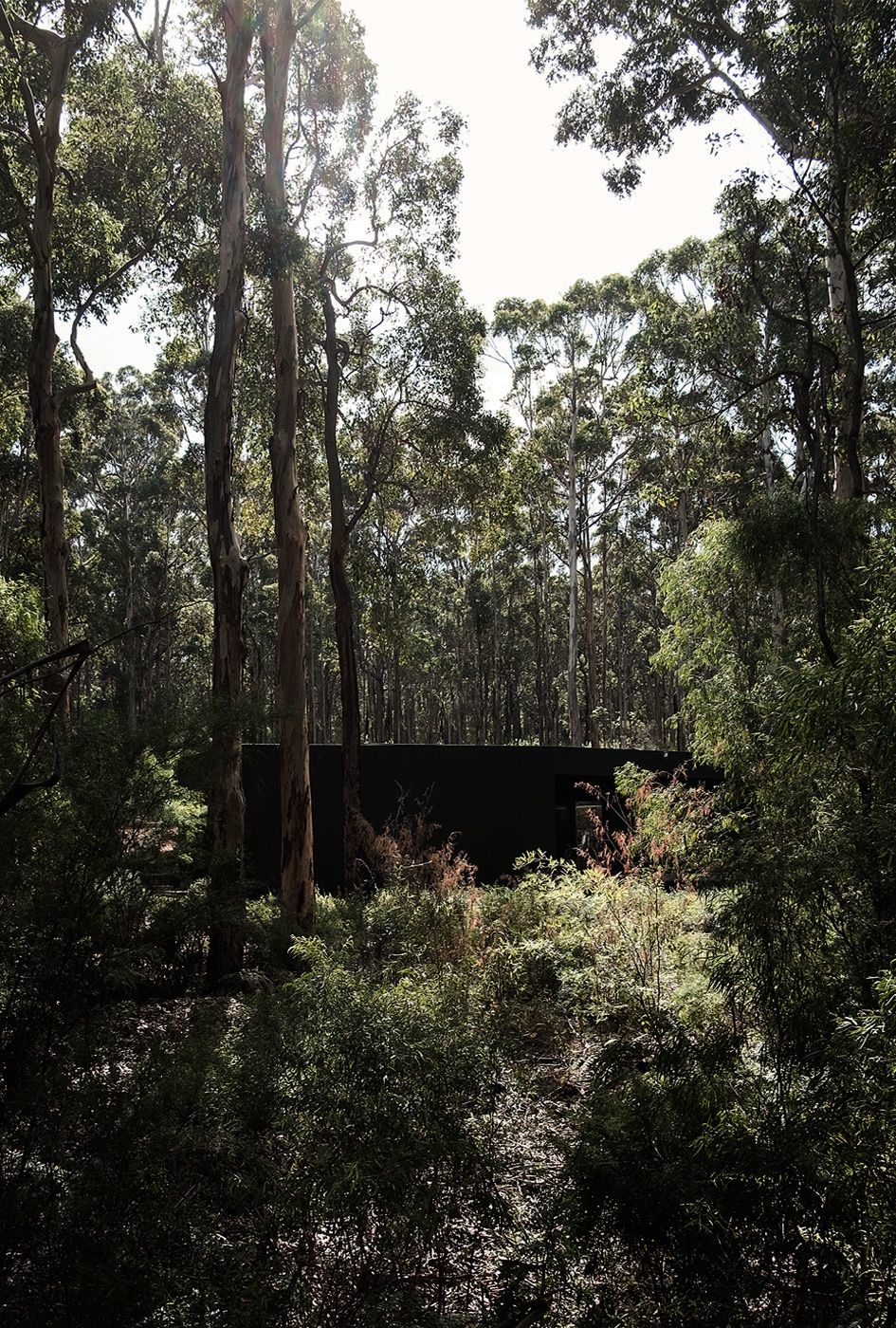 Boranup House MORQ-4