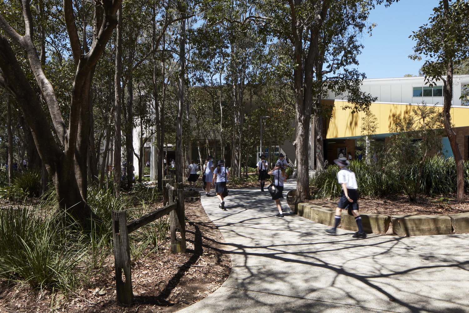 澳大利亚坎农山圣公会学院 D 座丨Reddog Architects-6