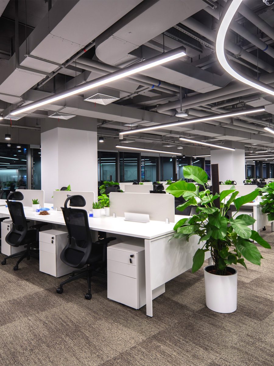 知名音乐娱乐集团，深圳 -10