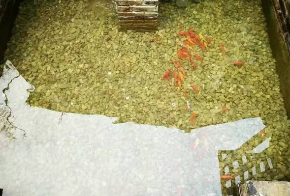 人到半山，止息而行，不问归期-26