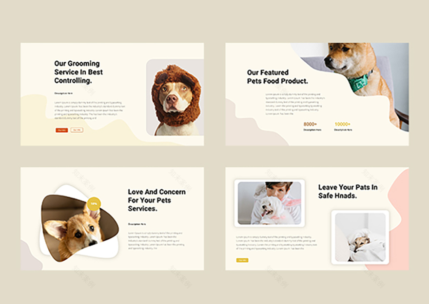 宠物店展示模板-9