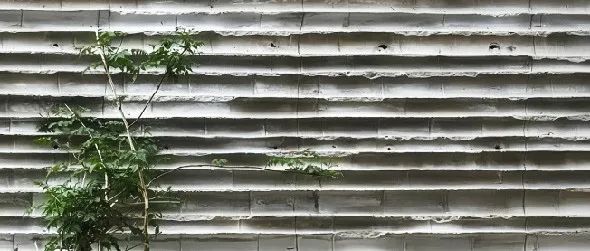 文创｜长沙红星｜三丰市集-137