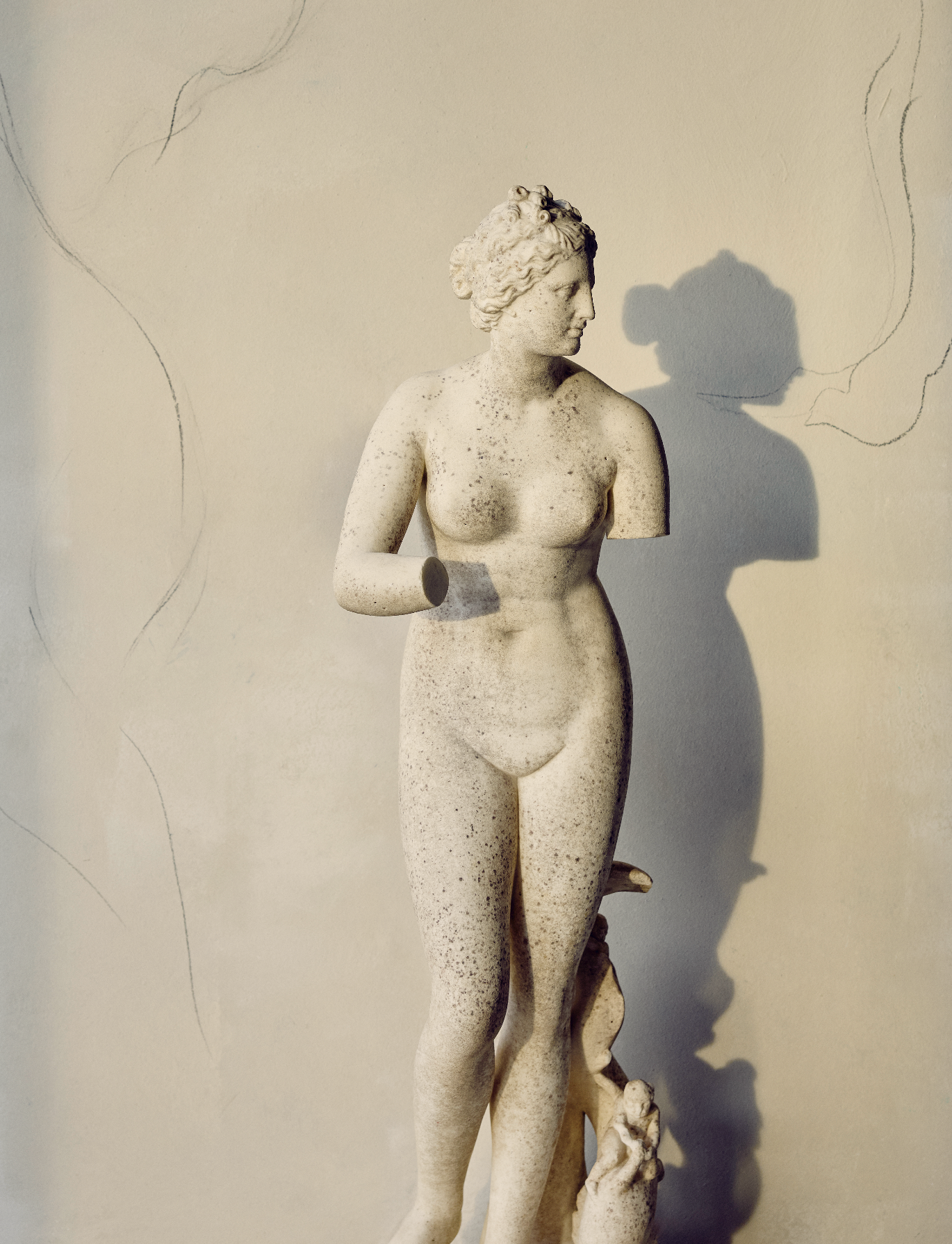 家具展厅丨Hannah Franklin-75