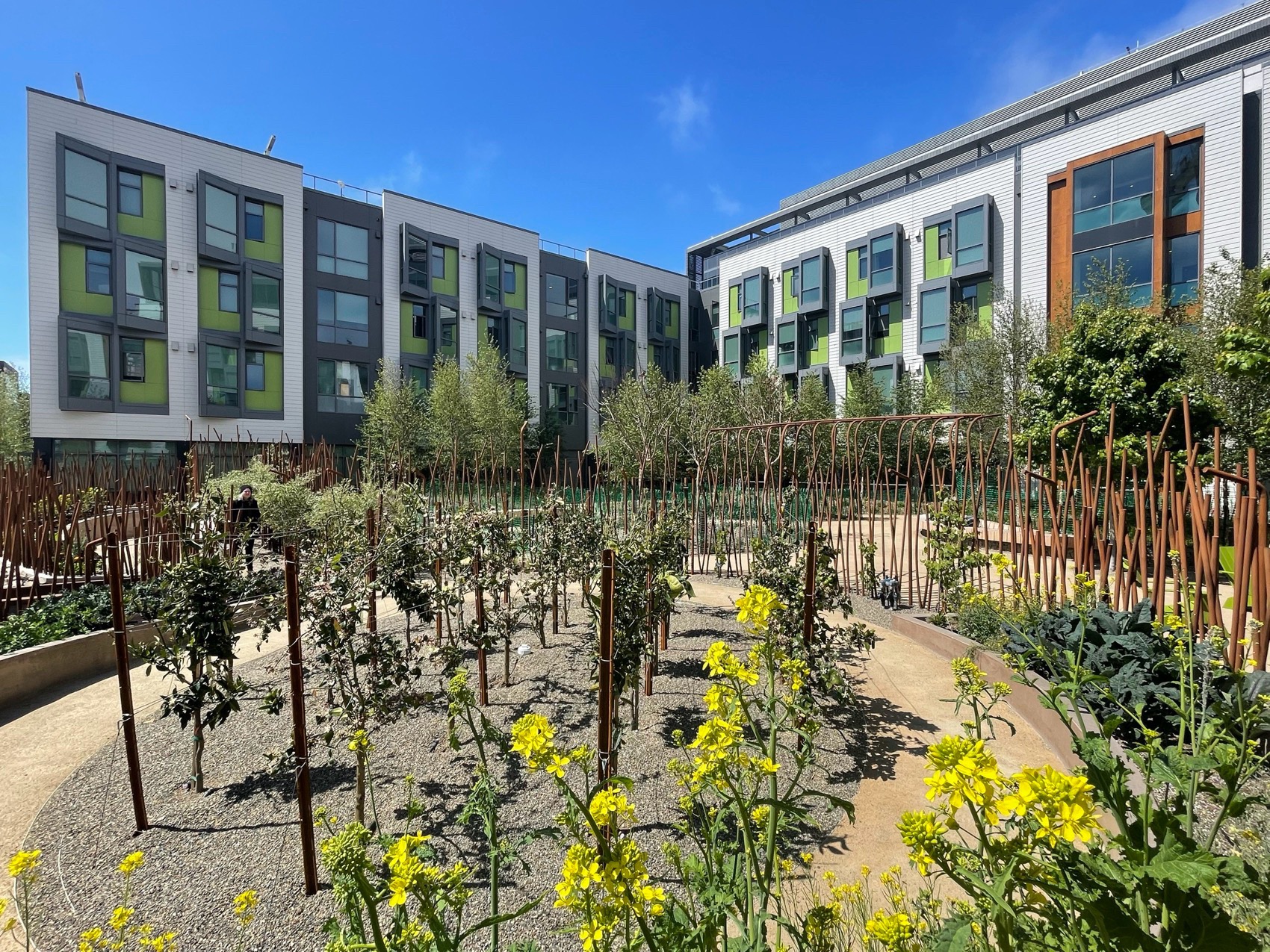 Mission Bay社区HomeRise项目丨美国丨LEDDY MAYTUM STACY Architects等-20