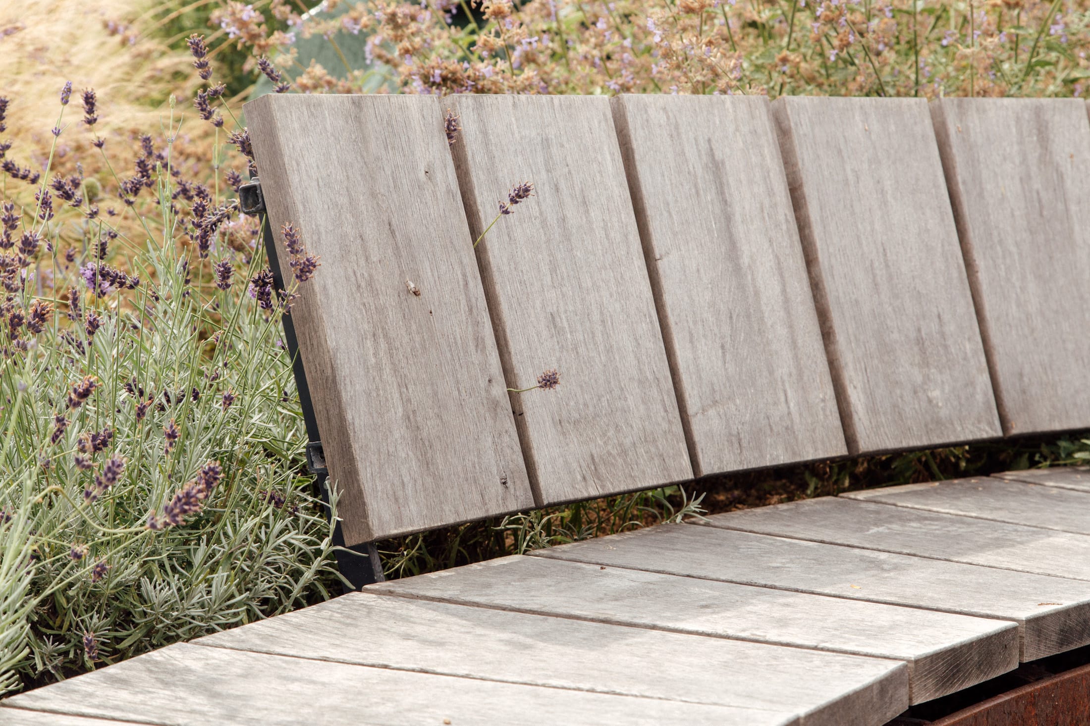 丹麦腓特列斯贝,感官体验治疗屋顶花园-29