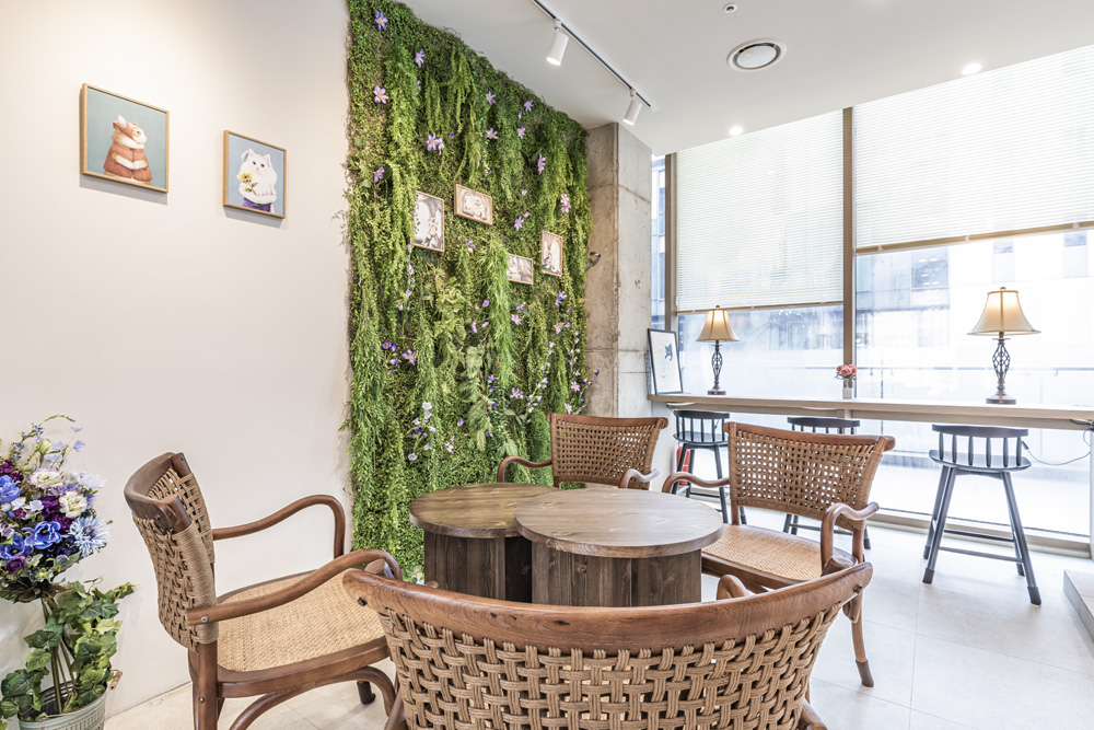 白色与木质的极简艺术 | 42 平米的精致公寓设计-14