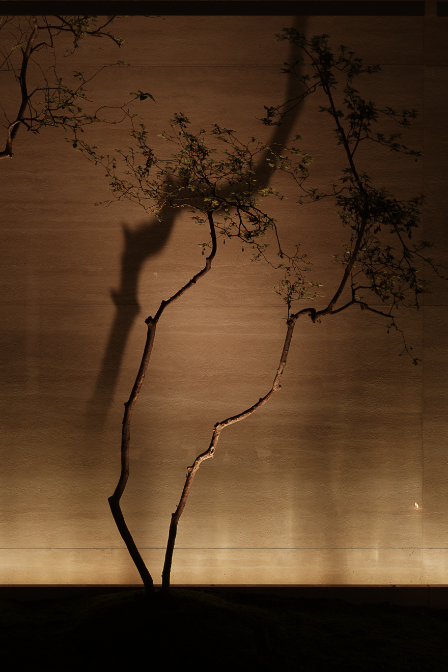 新作 · 悦空间|重庆 1200㎡ 别墅,光吟静室 简序生长丨中国重庆丨重庆悦空间设计-13