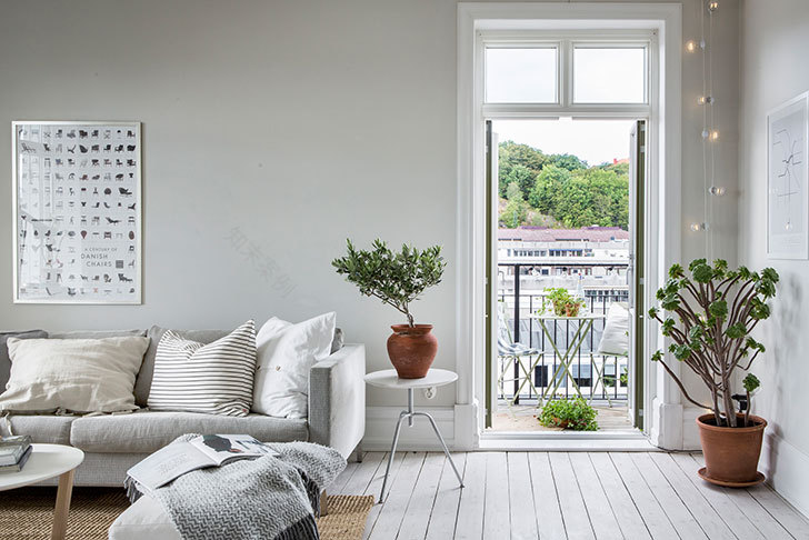 绿意盎然的城市小窝-1