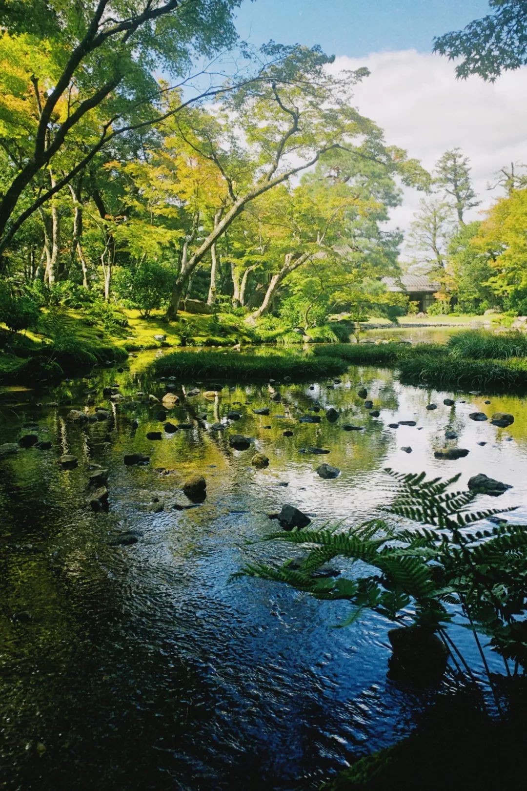 京都私人逛园子笔记-28