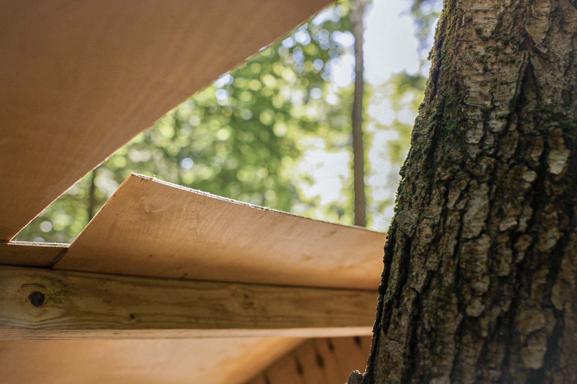 躲猫猫安装,我,你(thou 的宾格)丨美国纽约-37