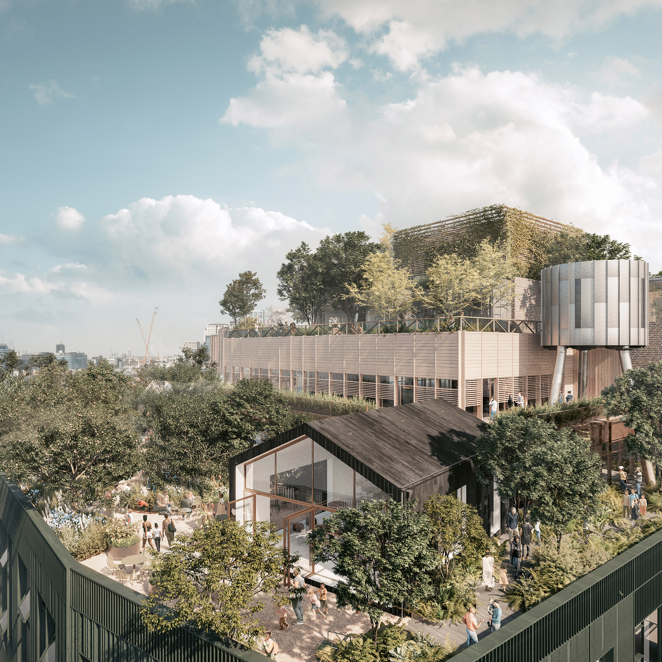 城市绿洲 | 办公室如何参与恢复自然环境-3