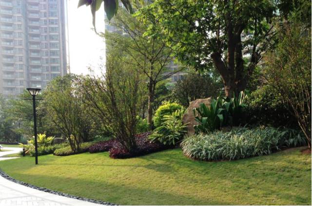 绿化设计中的地被放线手法与植物配置-129