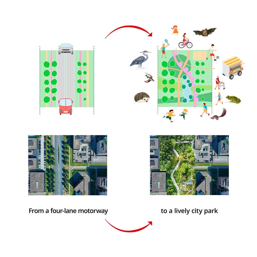 阿姆斯特丹洪兹鲁格公园丨NetherlandsAmsterdam丨Felixx-12