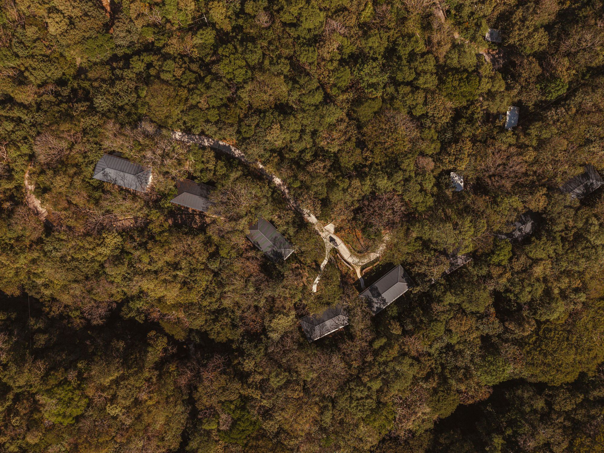 丨Costa Rica丨Studio Saxe（建筑）,Dania Saragovia（室内）-44