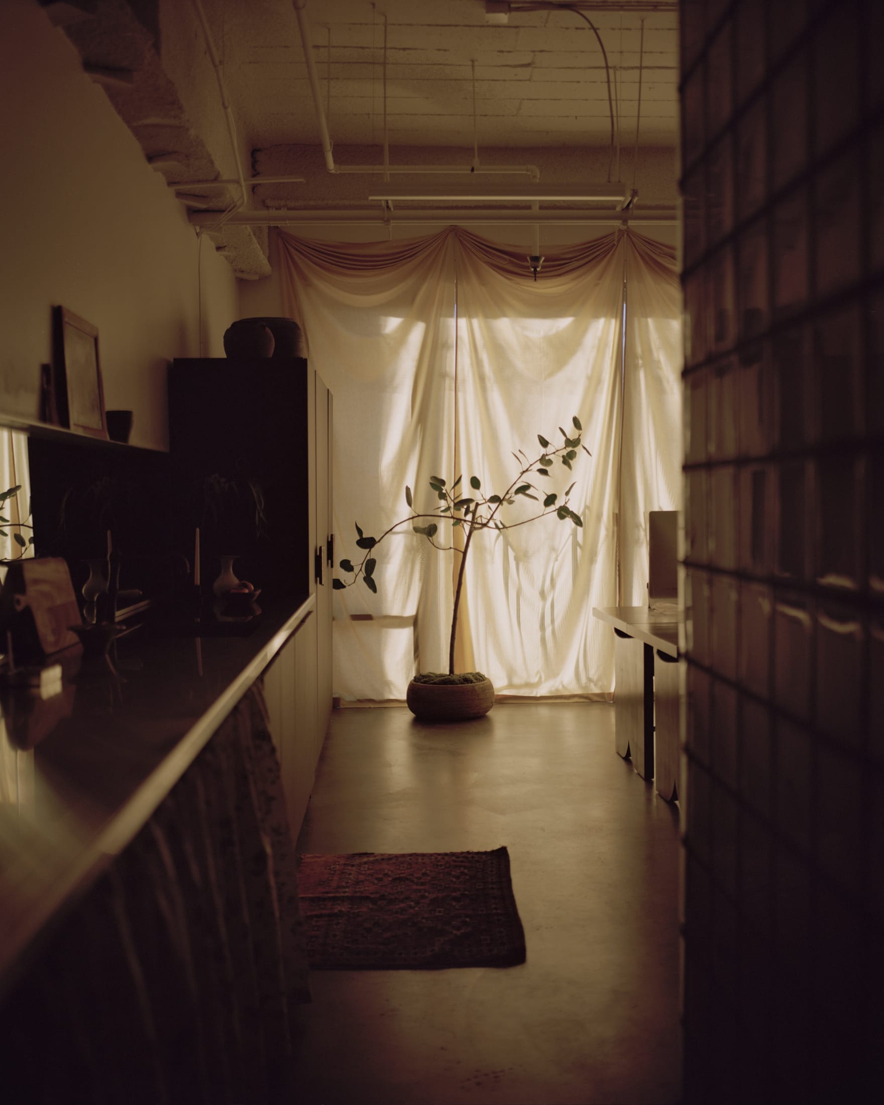 Mouthwash Studio洛杉矶办公室丨美国洛杉矶-22