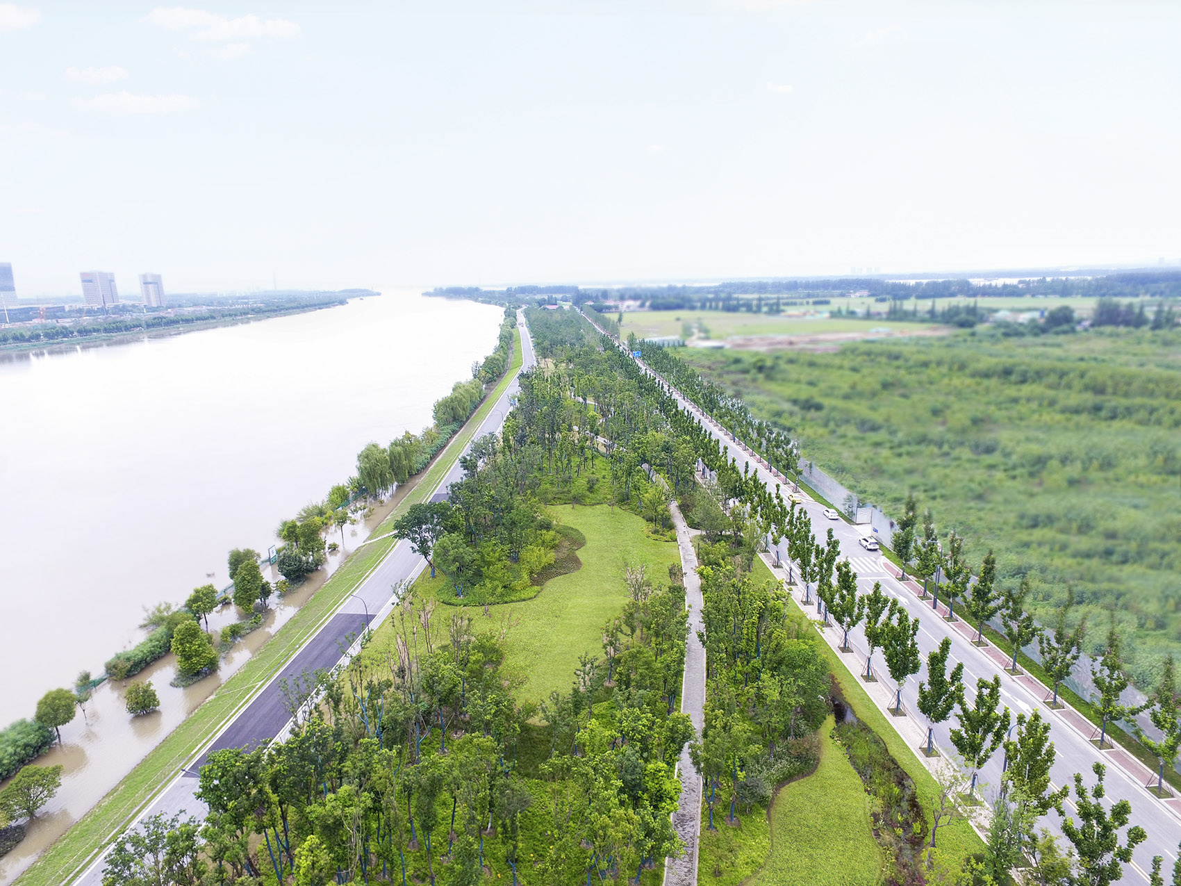 新加坡·南京生态科技岛-15