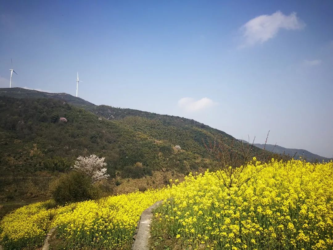 海华院春日踏青活动回顾 | 和谐邻里，美景尽收眼底-24