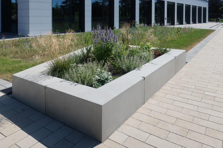 fagus | seelemann Landschaftsarchitekten丨Verwaltungsgebäude Porta Alte Messe Leipzig丨德国-3