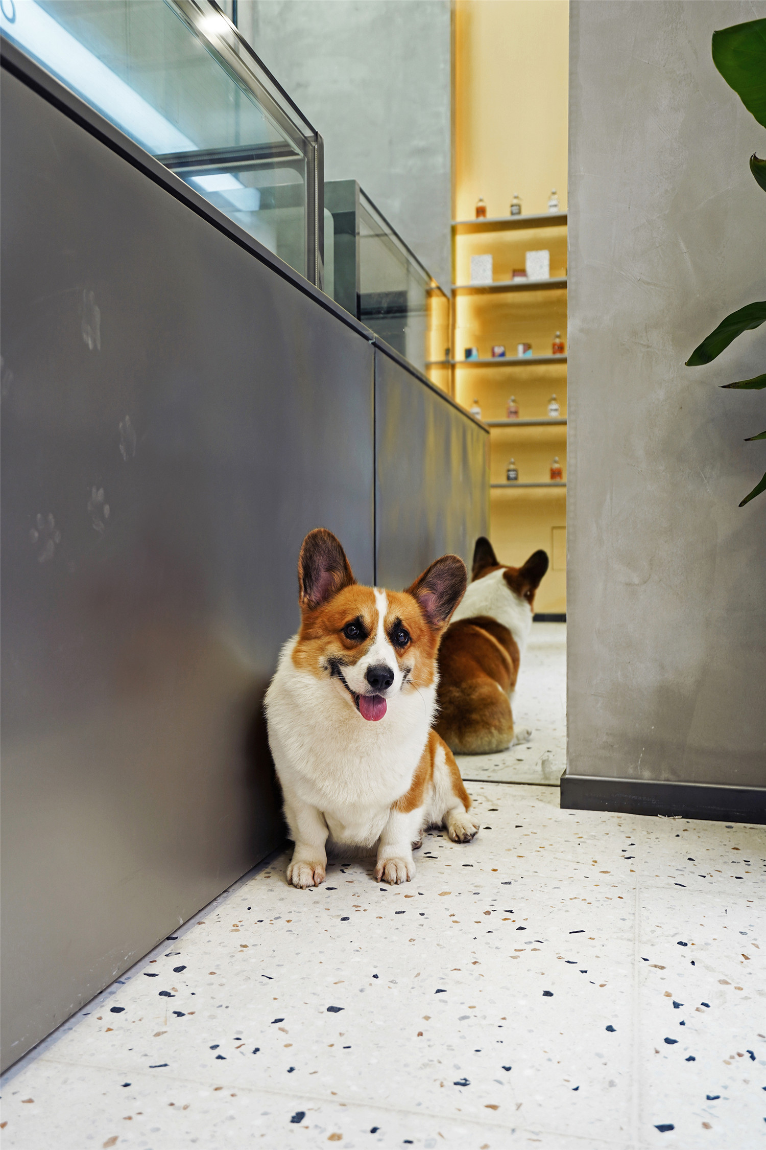 WAGASHI果子专门店-5