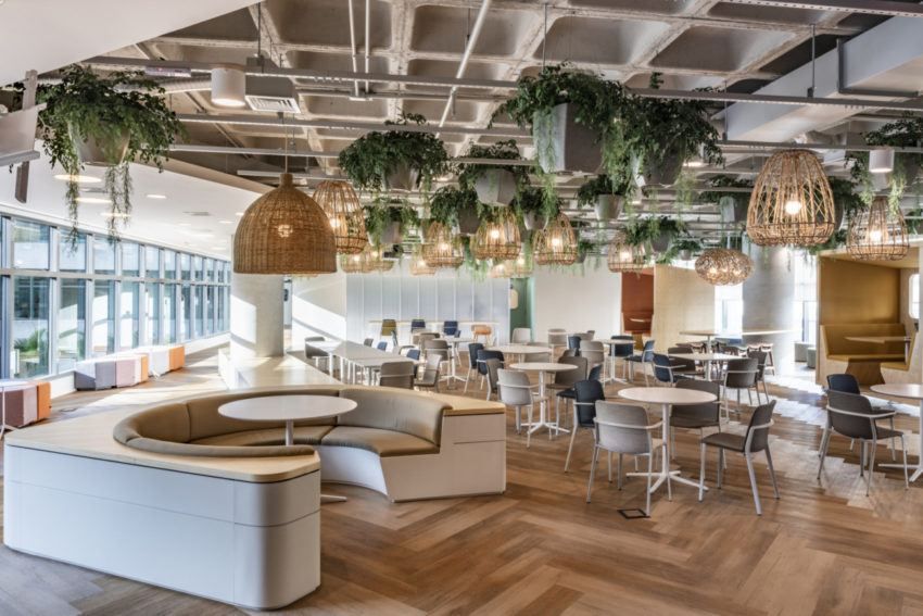 Pita Arquitetura give Latin Americas largest travel agent, Decolar, a head office transformation 皮塔阿奎图拉给拉丁美洲最大的旅行社-20