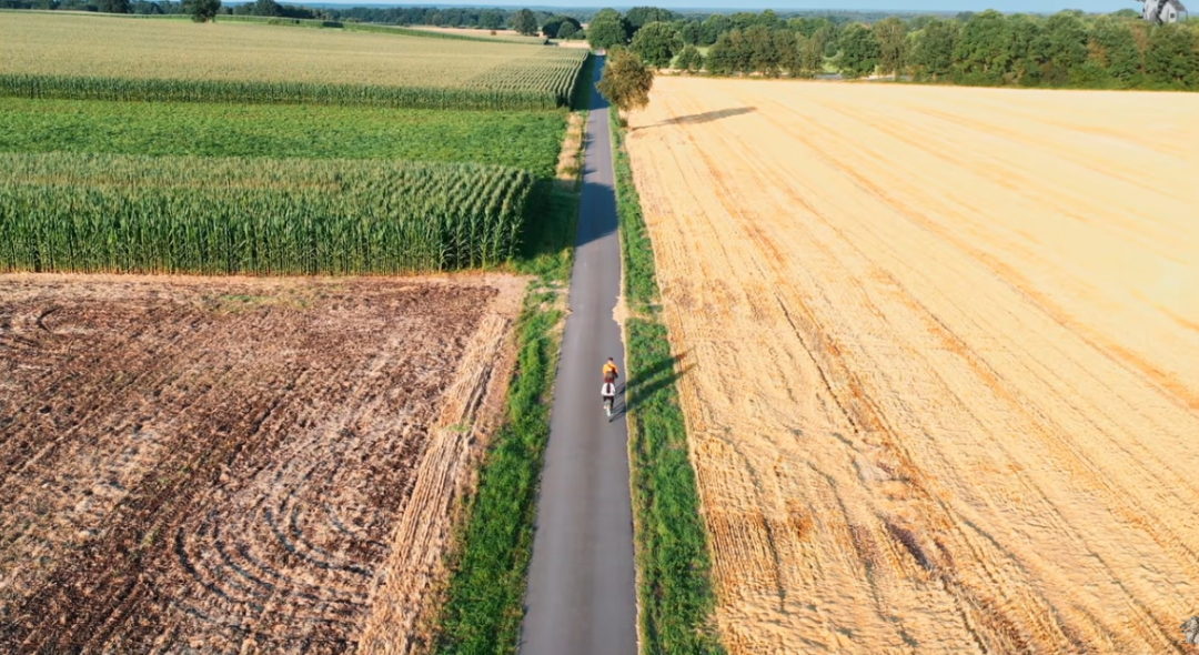 90后妈妈带家人住进森林别墅丨德国丨Thuy Dao和老公T-22