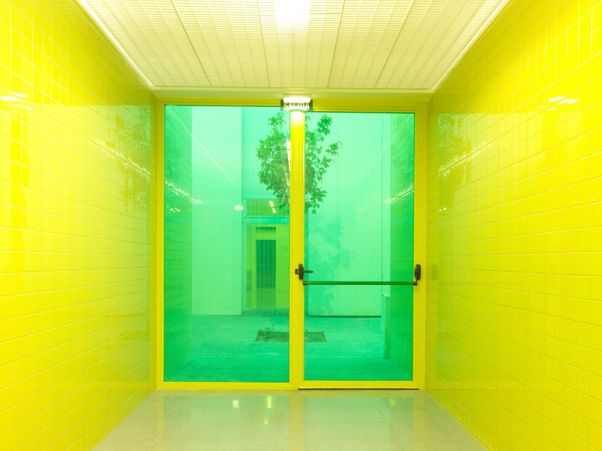 CEIP Hort of Palau Ramón Esteve-13