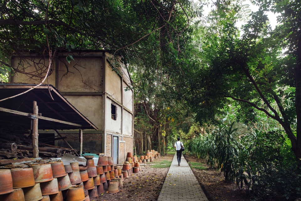 考迈 1955 庄园-10